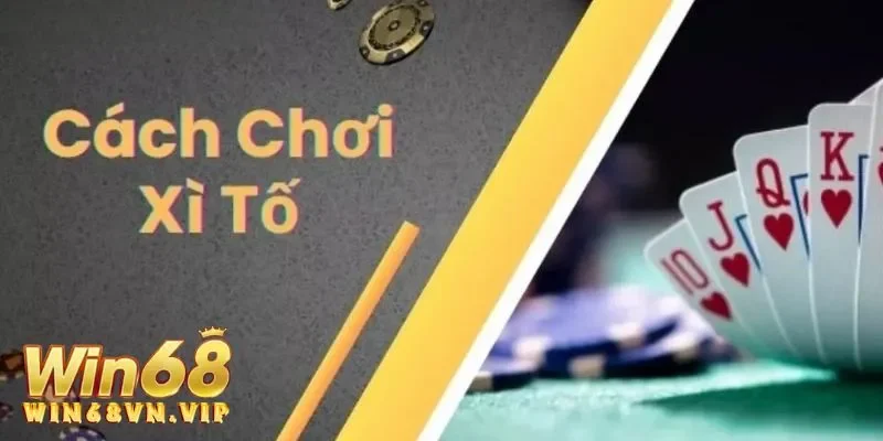 Tìm hiểu xì tố là gì?